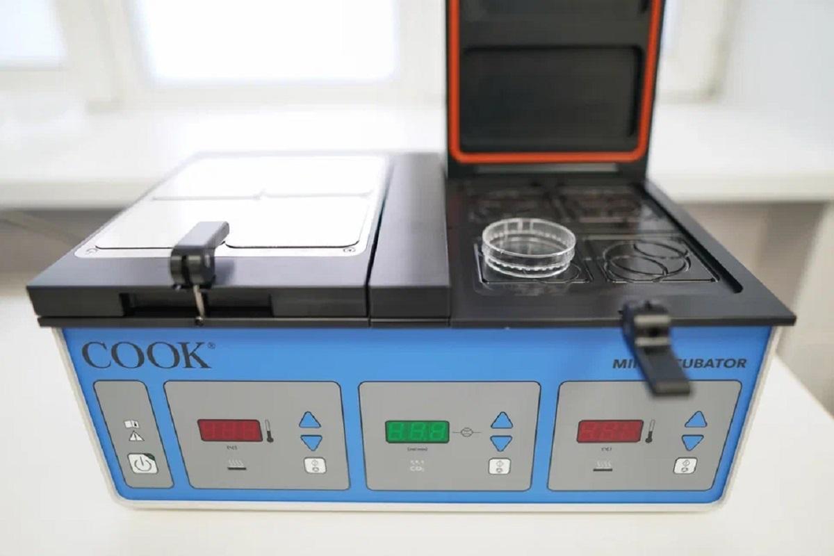 Фото Дети из пробирки, лечение бесплодия и возможный запрет абортов. Главврач Центра охраны здоровья семьи и репродукции Анна Вятчинина об ЭКО по ОМС без очереди 6